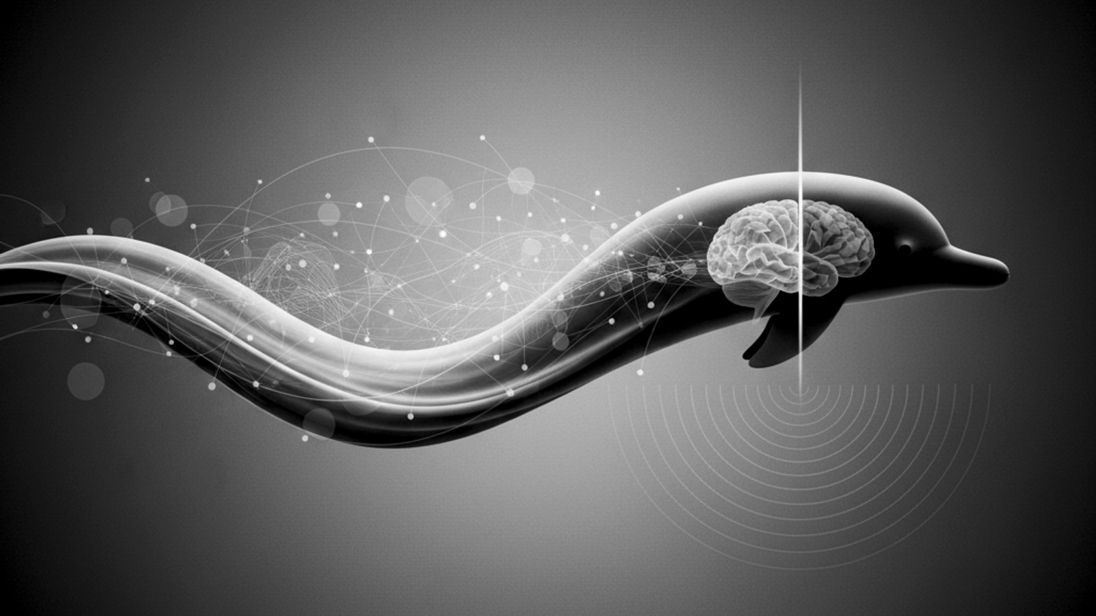 100 fascinujících faktů o spánku